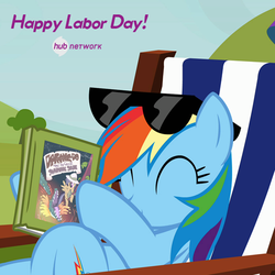 Size: 548x549 | Tagged: safe, screencap, daring do, rainbow dash, pegasus, pony, g4, official, too many pinkie pies, book, cropped, daring do and the sapphire statue, female, hub logo, labor day, mare, sunglasses, text, the hub
