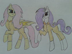 Size: 600x450 | Tagged: safe, artist:magicsong1111, fluttershy, rarity, g4, clothes, prison outfit, prisoner ry