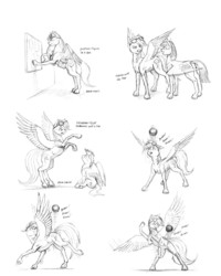 Size: 1152x1440 | Tagged: safe, artist:baron engel, rainbow dash, oc, oc:sky brush, pegasus, pony, g4, ball, bipedal, bouncing, butt, female, male, mare, monochrome, nudity, open mouth, pencil drawing, plot, rearing, sheath, sitting, smiling, spread wings, stallion, story in the source, traditional art