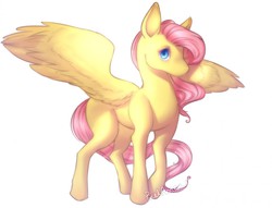 Size: 1280x979 | Tagged: safe, artist:pixelannex, fluttershy, g4, female, simple background, solo, spread wings