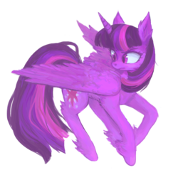 Size: 1024x978 | Tagged: safe, artist:rwko, twilight sparkle, alicorn, pony, g4, chest fluff, ear fluff, female, leg fluff, mare, simple background, solo, twilight sparkle (alicorn)