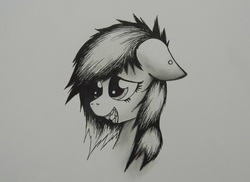 Size: 1280x933 | Tagged: safe, artist:marsminer, oc, oc only, oc:venus spring, pony, braces, cute, female, floppy ears, grayscale, grin, mare, monochrome, piercing, portrait, smiling, squee, traditional art