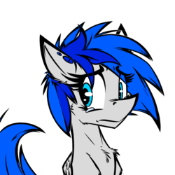 Size: 1235x1235 | Tagged: source needed, safe, artist:ralek, oc, oc only, oc:sapphire sights, pegasus, pony, crying, portrait, solo