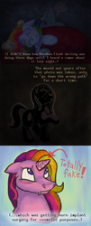Size: 500x1232 | Tagged: safe, artist:ratdust, rainbow dash, rainbow dash (g3), rainbow flash, rainbow flash (g4), ask g3 dashie, g3, g4, ask, comic, fake horn, g3 to g4, generation leap, tumblr