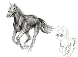 Size: 2234x1635 | Tagged: safe, artist:nolilty, applejack, horse, g4, bridle, comparison, horse-pony interaction, monochrome, sketch