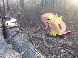 Size: 2592x1944 | Tagged: safe, artist:datnaro, artist:tarindel, artist:tokkazutara1164, angel bunny, fluttershy, g4, angry, forest, irl, leaping, lens flare, photo, ponies in real life, shadow, tree, vector
