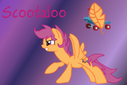 Size: 4500x3000 | Tagged: safe, artist:daisy meadows, scootaloo, g4, cutie mark, scooter, wings