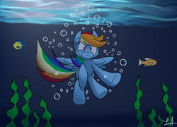 Size: 6221x4469 | Tagged: safe, artist:lux121, rainbow dash, fish, g4, absurd resolution, female, seaweed, solo, underwater, water