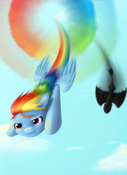 Size: 800x1101 | Tagged: safe, artist:avialexis25, rainbow dash, dragon, night fury, pegasus, pony, g4, crossover, diving, dreamworks, duo, female, flying, how to train your dragon, mare, race, rainbow trail, sonic rainboom, speed trail, toothless the dragon