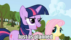 Size: 800x450 | Tagged: safe, fluttershy, twilight sparkle, g4, image macro, just as planned, meme