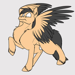 Size: 1280x1280 | Tagged: safe, artist:foxenawolf, oc, oc only, oc:playbitz, pegasus, pony, :t, fluffy, funny, goober, mating dance, nose wrinkle, pegasus posse, raised hoof, spread wings, strut, two toned wings, unshorn fetlocks, wide eyes