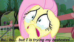 Size: 1280x720 | Tagged: safe, fluttershy, pony, g4, bust, crying, female, meme, portrait, solo, text, worried