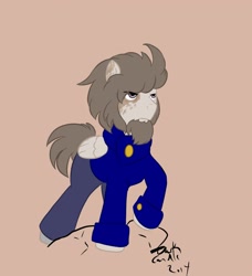 Size: 1168x1280 | Tagged: safe, artist:dark candle, oc, oc only, pegasus, pony, beard, clothes, colored, facial hair, frown, glare, male, solo, stallion