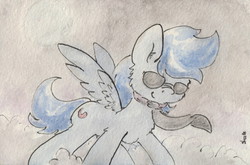 Size: 1034x684 | Tagged: safe, artist:slightlyshade, nightshade, pegasus, pony, g4, cloud, cloudy, female, mare, shadowbolts, solo, sunglasses, traditional art