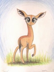 Size: 775x1031 | Tagged: safe, artist:thefriendlyelephant, oc, oc only, oc:nuk, antelope, gerenuk, animal in mlp form, solo, traditional art