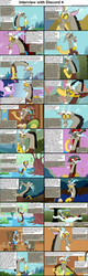 Size: 1282x4018 | Tagged: safe, angel bunny, discord, twilight sparkle, alicorn, draconequus, pony, comic:celestia's servant interview, g4, caption, chaos, comic, cs captions, female, fluttershy's cottage, interview, mare, twilight sparkle (alicorn)