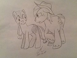 Size: 1024x768 | Tagged: safe, artist:craddlemaster, applejack, big macintosh, earth pony, pony, g4, body swap, male, monochrome, stallion, swapped cutie marks, traditional art