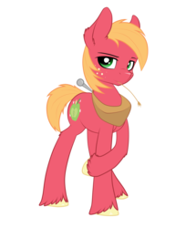 Size: 3746x4598 | Tagged: safe, artist:strachattack, big macintosh, earth pony, pony, g4, cute, macabetes, male, simple background, solo, stallion, transparent background, vector, younger