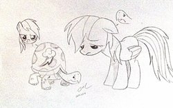 Size: 1024x644 | Tagged: safe, artist:craddlemaster, rainbow dash, tank, g4, body swap, monochrome, traditional art