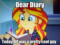 Size: 640x480 | Tagged: safe, sunset shimmer, equestria girls, g4, my little pony equestria girls: rainbow rocks, book, caption, image macro, journey book, meme