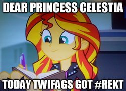 Size: 490x355 | Tagged: safe, sunset shimmer, equestria girls, g4, my little pony equestria girls: rainbow rocks, implied flashlight, meme