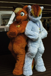 Size: 3744x5616 | Tagged: safe, artist:spainfischer, applejack, rainbow dash, human, pegasus, pony, g4, 2011, anthrocon, anthrocon 2011, clothes, cosplay, crossed arms, crossed hooves, fursuit, irl, irl human, photo, ponysuit, pose, smiling, smirk, suit, tail, wings