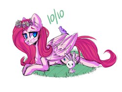 Size: 2560x1920 | Tagged: safe, artist:sunshineapple, fluttershy, bird, g4, 10/10, blushing, context is for the weak, female, floral head wreath, flower, prone, smiling, solo, wat