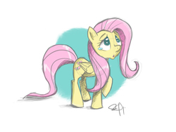Size: 2400x1800 | Tagged: safe, artist:yikomega, fluttershy, g4, crying, female, solo