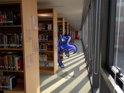 Size: 800x600 | Tagged: safe, artist:karlaandbliss, princess luna, lunadoodle, g4, book, irl, library, looking at you, photo, ponies in real life, smiling, solo