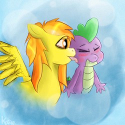 Size: 2000x2000 | Tagged: safe, artist:kaine, spike, spitfire, g4, blushing, cute, high res, licking, ship:spikefire