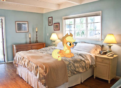 Size: 611x444 | Tagged: safe, artist:somerandomunicorn, applejack, g4, bed, bedroom, irl, lamp, lying down, painting, photo, ponies in real life, solo, vector, window