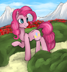 Size: 1025x1098 | Tagged: safe, artist:slivka0, pinkie pie, earth pony, pony, g4, female, mare, raised hoof, smiling, solo