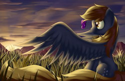 Size: 2550x1650 | Tagged: safe, artist:grennadder, derpy hooves, butterfly, pegasus, pony, g4, epic derpy, female, mare, palindrome get, solo
