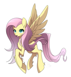 Size: 1250x1350 | Tagged: safe, artist:haydee, fluttershy, g4, female, fluffy, simple background, solo, spread wings, transparent background