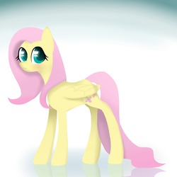 Size: 2048x2048 | Tagged: safe, artist:spacezoon, fluttershy, g4, female, high res, solo