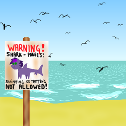 Size: 1000x1000 | Tagged: safe, artist:merkleythedrunken, oc, oc:mayday mayday, bird, original species, shark pony, beach, female, fish tail, gills, green eyes, ocean, purple mane, shark tail, sign, tail, warning, water