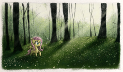 Size: 800x467 | Tagged: safe, artist:hewison, fluttershy, butterfly, g4, female, forest, solo