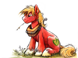 Size: 878x651 | Tagged: safe, artist:kenket, big macintosh, earth pony, pony, g4, grass, grass stalk, harness, haunches, horse collar, male, simple background, sitting, solo, stallion, straw in mouth, unshorn fetlocks, white background