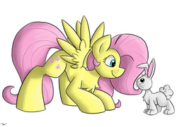 Size: 1231x888 | Tagged: safe, artist:luximus17, fluttershy, pegasus, pony, rabbit, g4, chest fluff, duo, female, looking at each other, looking at someone, looking down, mare, profile, simple background, smiling, spread wings, standing, white background, wings