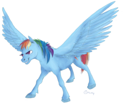 Size: 513x447 | Tagged: safe, artist:maicki, rainbow dash, g4, female, solo