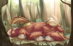 Size: 4000x2500 | Tagged: safe, artist:gsphere, big macintosh, earth pony, pony, g4, cute, forest, male, sleeping, solo, stallion