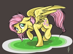 Size: 3253x2402 | Tagged: safe, artist:navigatoralligator, fluttershy, pegasus, pony, g4, alternate hairstyle, black background, cute, female, high res, mare, raised hoof, short hair, short mane, shyabetes, signature, simple background, smiling, solo, spread wings, wings