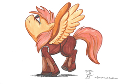 Size: 793x549 | Tagged: safe, artist:alyssasketchd, oc, oc only, oc:bracer, pegasus, pony, armor, emw:mmmm, frown, looking up, solo, spread wings