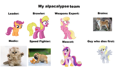 Size: 4480x2726 | Tagged: safe, cherry berry, derpy hooves, lily, lily valley, princess cadance, scootaloo, cat, dog, pegasus, pony, shiba inu, g4, abuse, bronybait, derpybuse, female, mare, meme, zombie apocalypse team