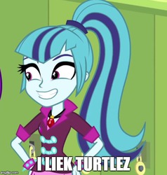 Size: 490x514 | Tagged: safe, sonata dusk, equestria girls, g4, my little pony equestria girls: rainbow rocks, high ponytail, image macro, long hair, meme, ponytail, the dazzlings