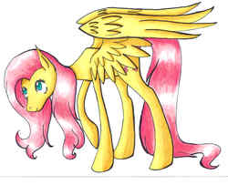 Size: 3500x3000 | Tagged: safe, artist:katrokk, fluttershy, g4, female, high res, solo, traditional art