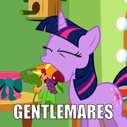 Size: 640x640 | Tagged: safe, screencap, twilight sparkle, g4, green isn't your color, apple, artifact, banana, carrot, cherry, eyes closed, food, fruit, gentlemen, grapes, image macro, meme, mouth hold, orange, pie, vegetables