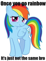 Size: 450x600 | Tagged: safe, rainbow dash, g4, image macro, meme, slant rhyme