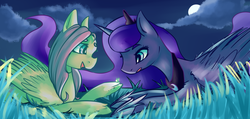 Size: 2066x981 | Tagged: safe, artist:marshmellowcannibal, fluttershy, princess luna, alicorn, firefly (insect), pegasus, pony, g4, duo, female, folded wings, grass, looking at something, mare, night, outdoors, prone, showing, wings