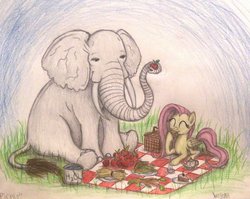 Size: 1002x798 | Tagged: dead source, safe, artist:thefriendlyelephant, fluttershy, oc, oc:obi, elephant, pegasus, pony, g4, :t, apple, bucket, cake, carrot, cute, duo, eating, eyes closed, female, grass, h2o, hay, herbivore, mare, picnic, picnic basket, picnic blanket, sandwich, sitting, smiling, tea, tea kettle, teacup, traditional art, tusk, water